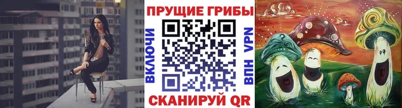 Купить где Ворсма Псилоцибиновые грибы прущие грибы